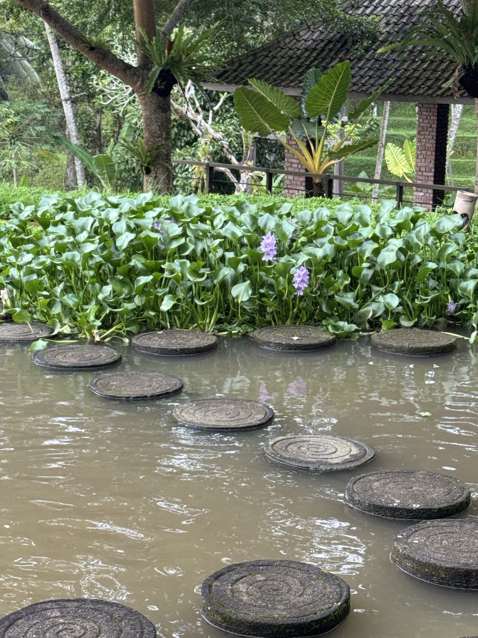 Bali scenery and river steps near greenery