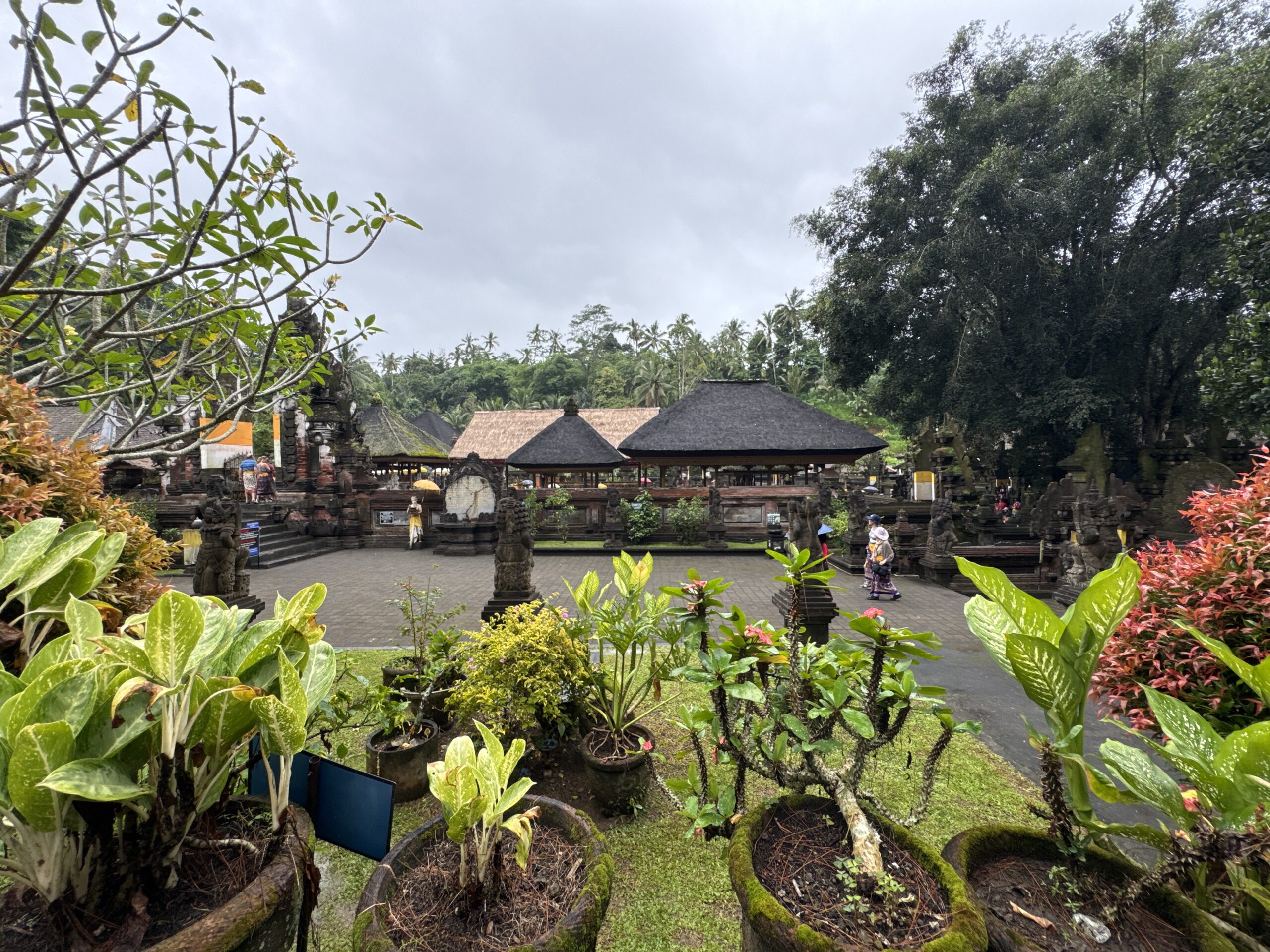 Landscape scenery with trees and roofs in Bali